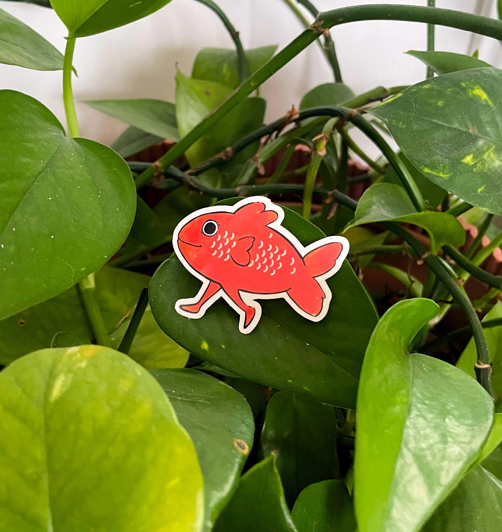 Fish guy sticker