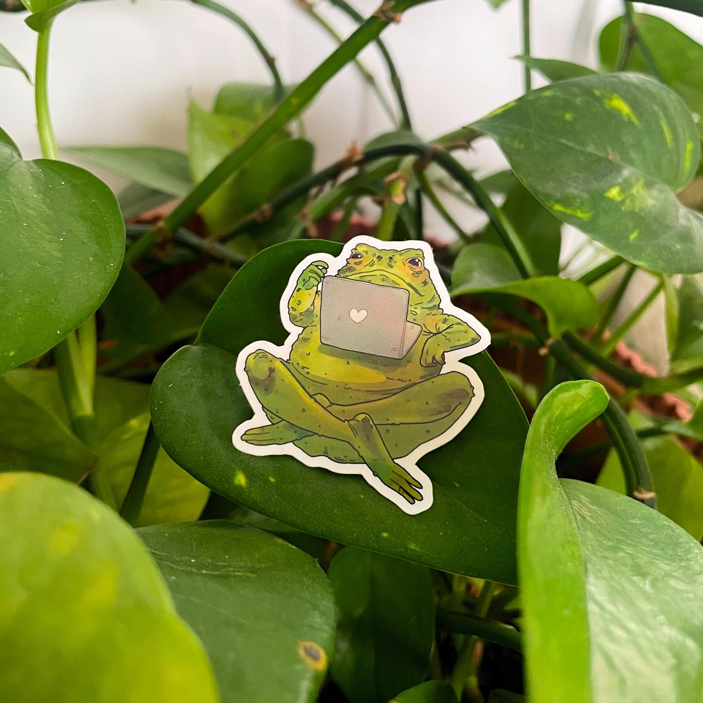 Frog guy sticker