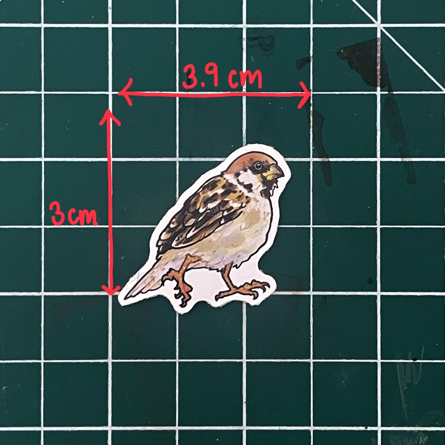 Pack of 3 bird stickers