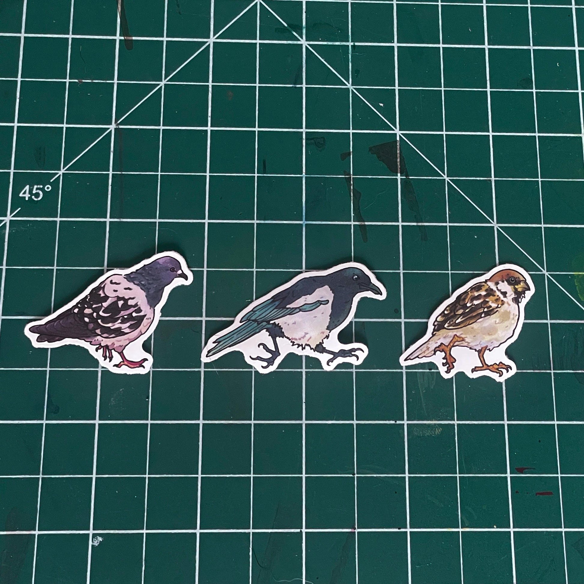 Pack of 3 bird stickers