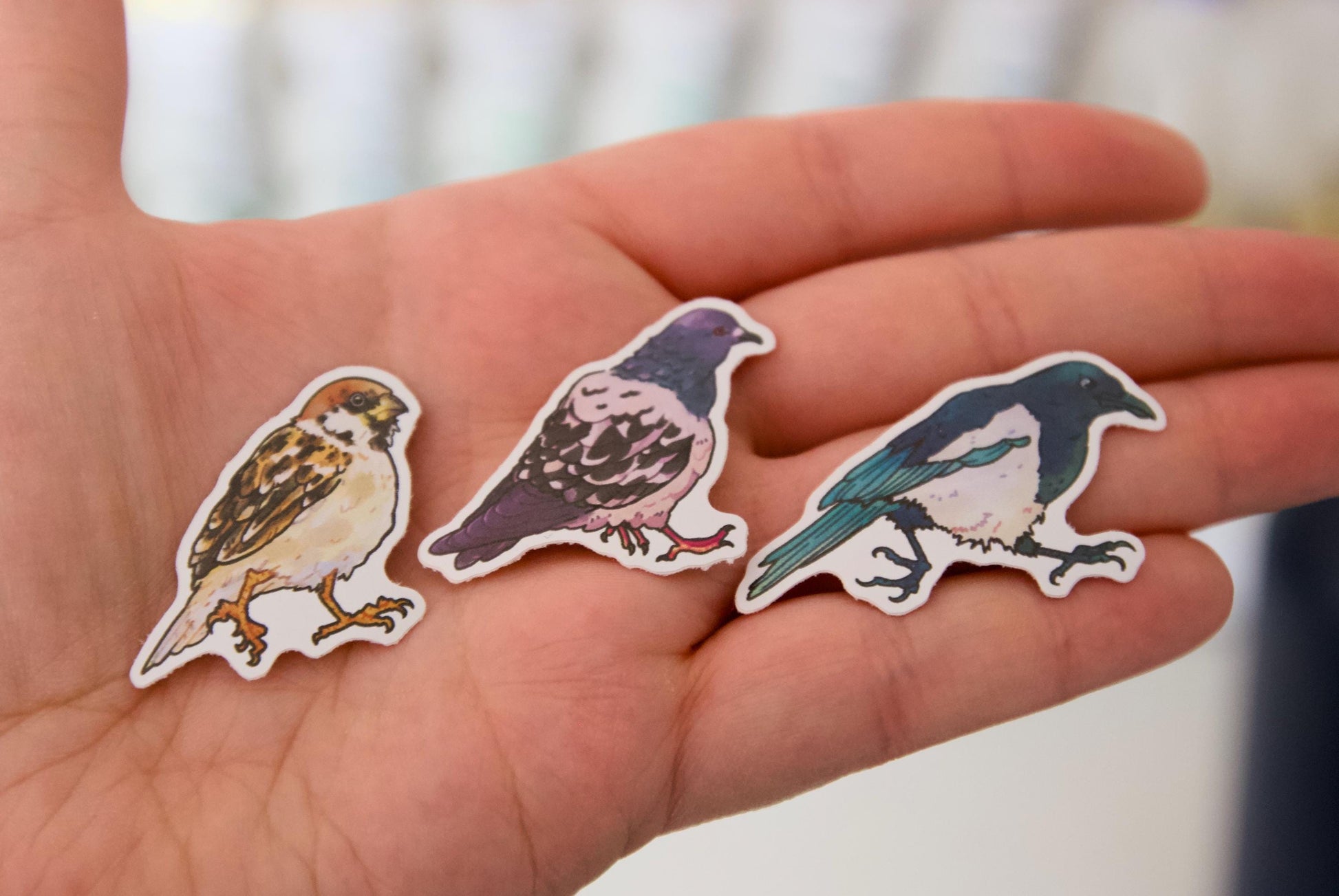 Pack of 3 bird stickers