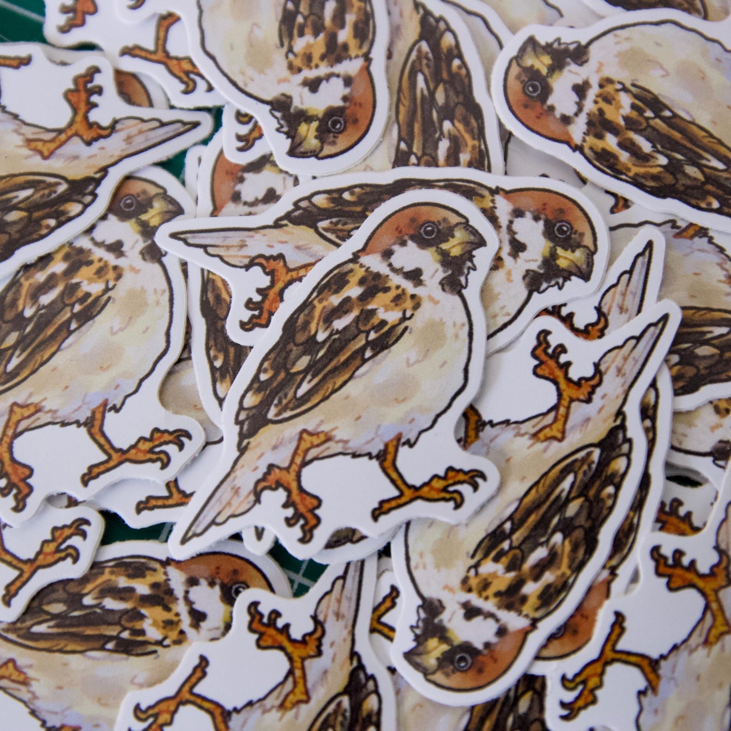 Pack of 3 bird stickers