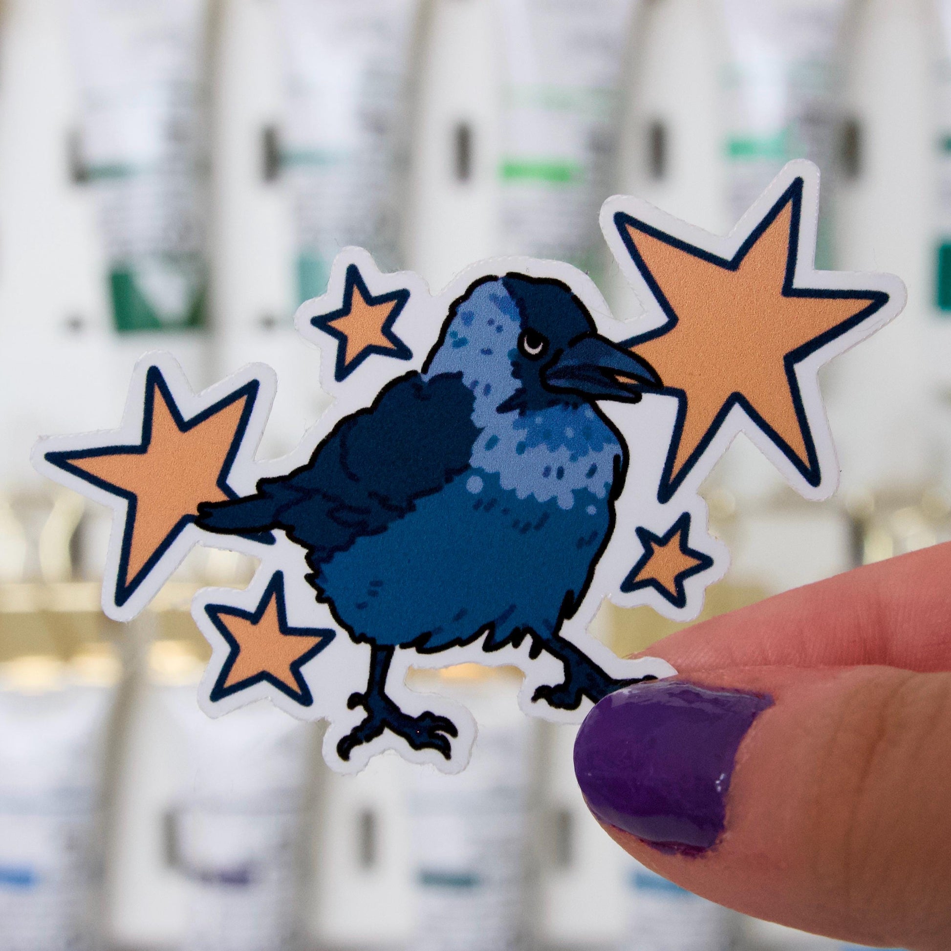 Suspicious jackdaw stickers