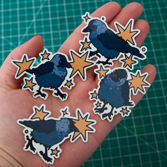 Suspicious jackdaw stickers