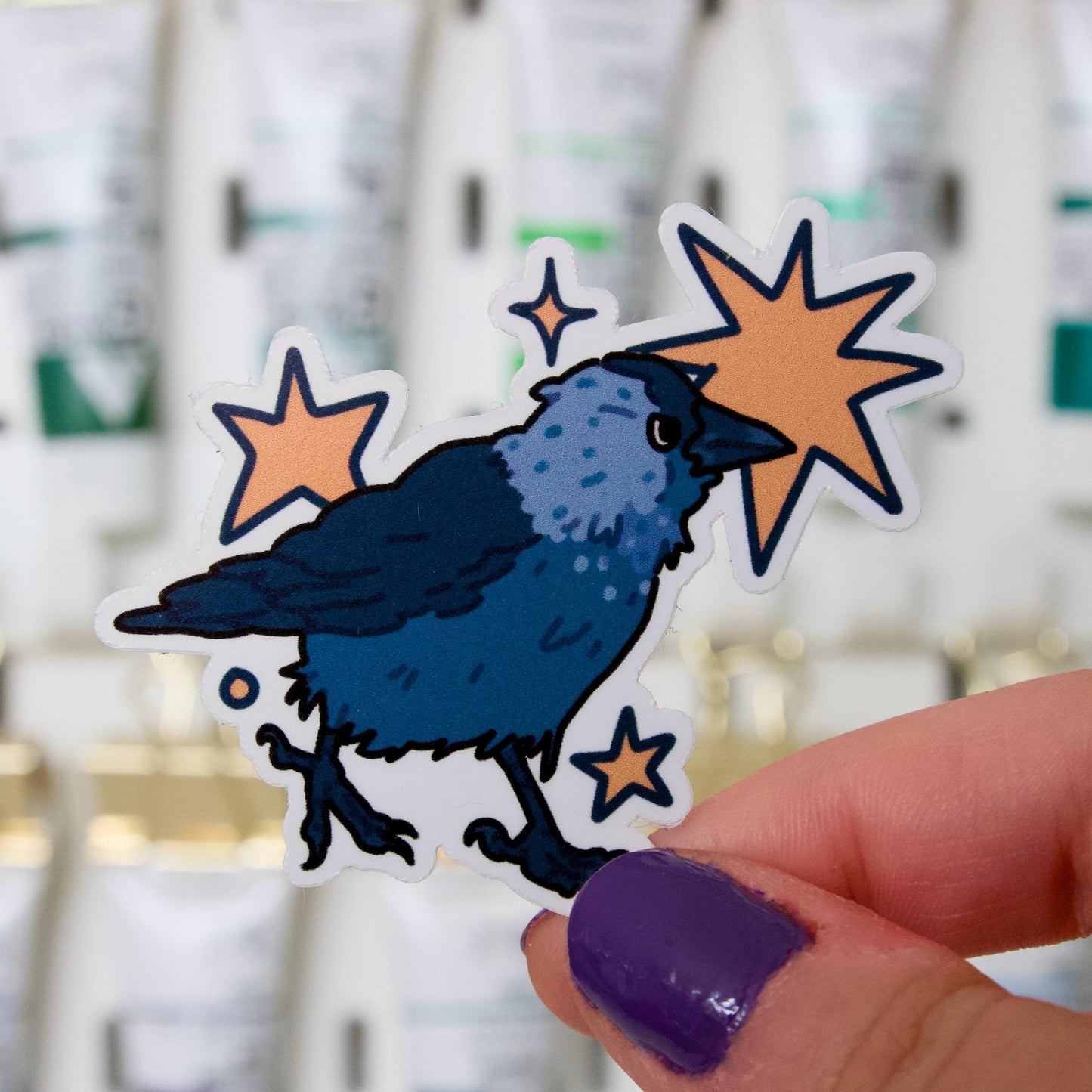 Suspicious jackdaw stickers