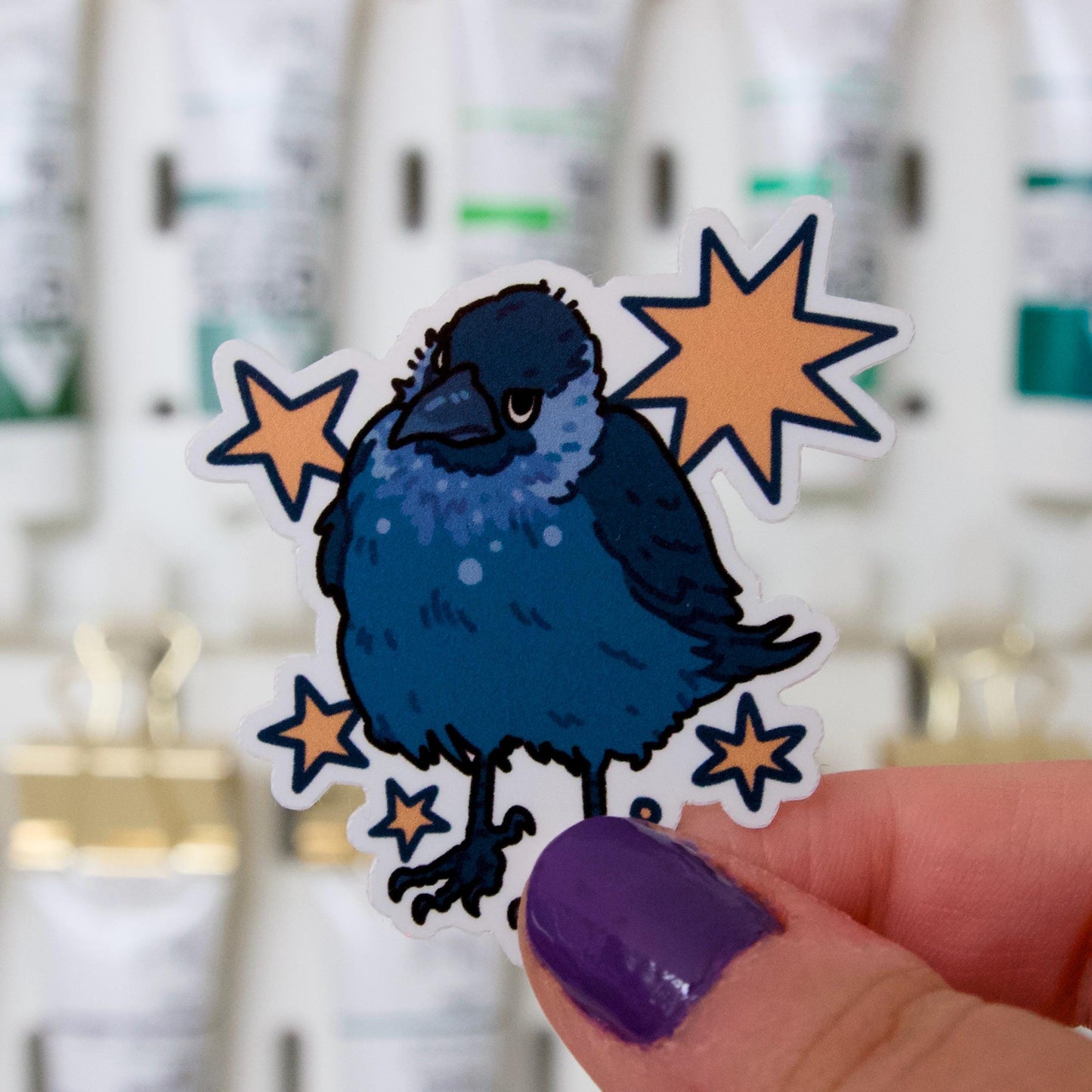 Suspicious jackdaw stickers